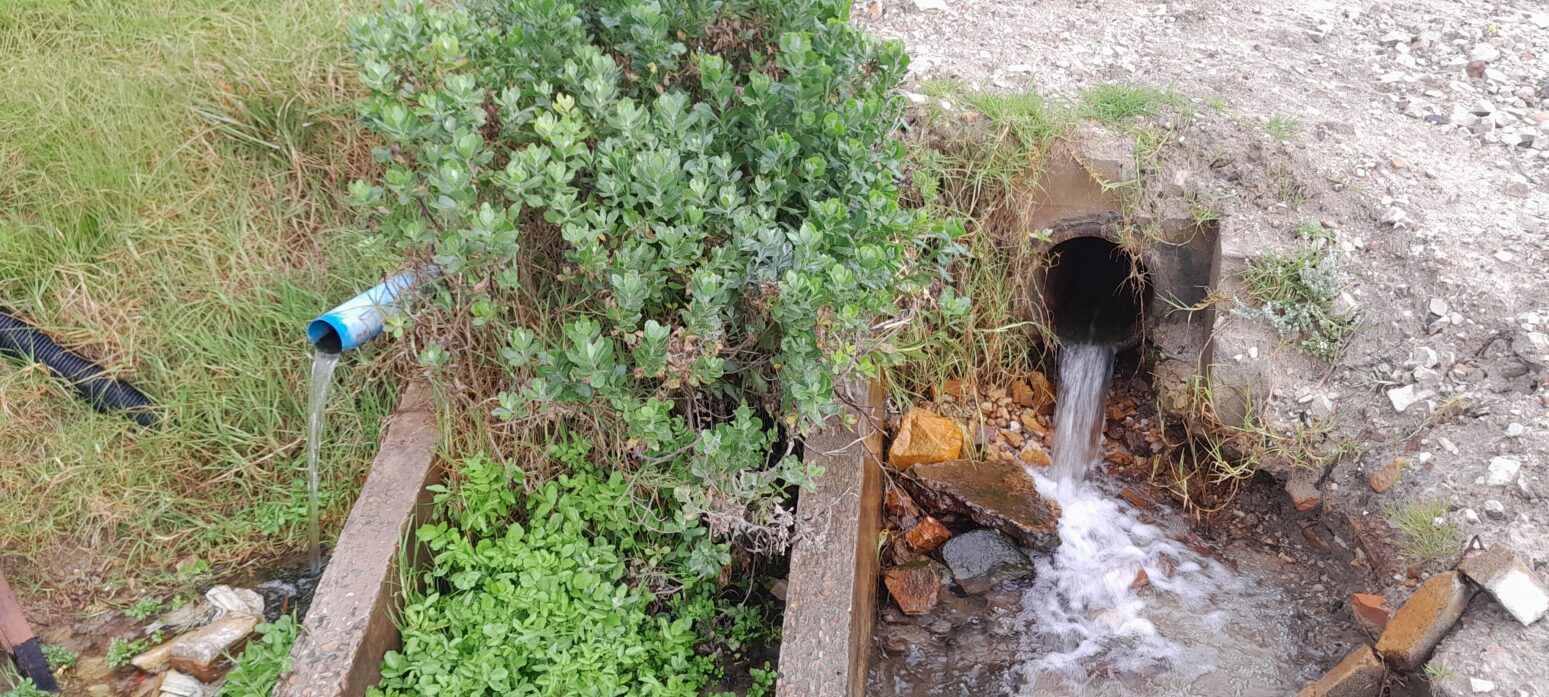 dido valley spring