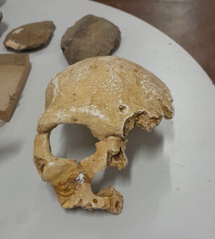 florisbad skull cast