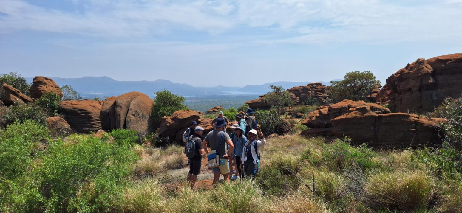 gwd magaliesberg hike