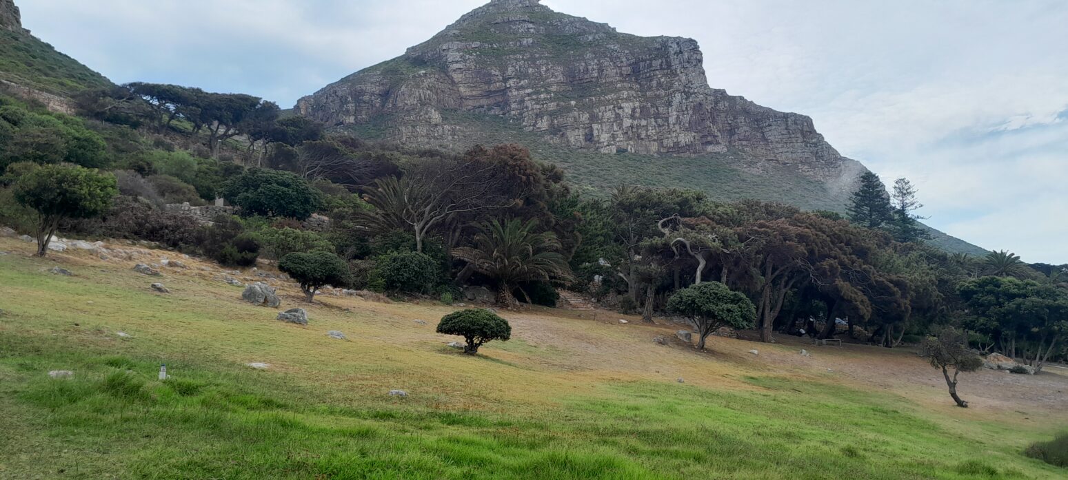 muizenberg park seep sampling