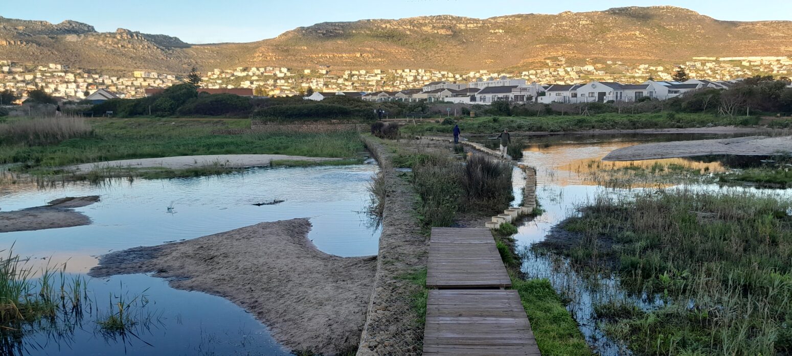 silvermine wetland sampling