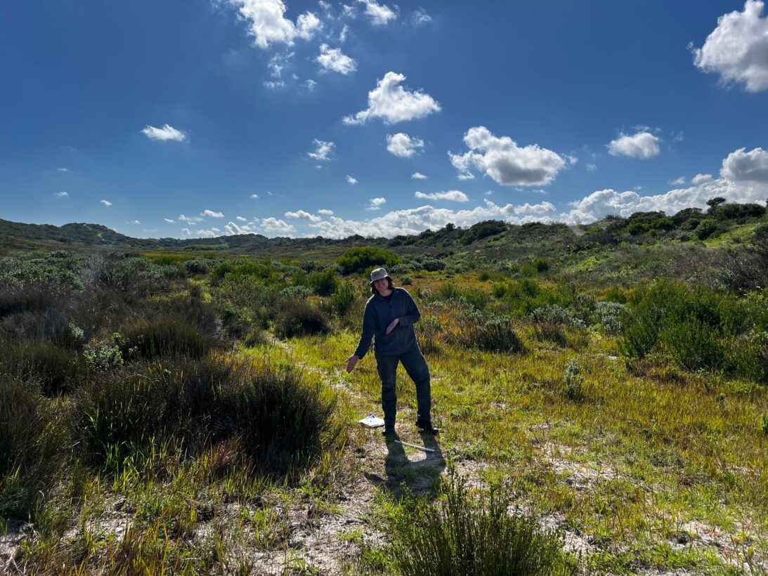 wetland assessment 2